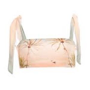 IN SEARCH OF AGUA BENDITA SUSAN ALDEA CROP TOP